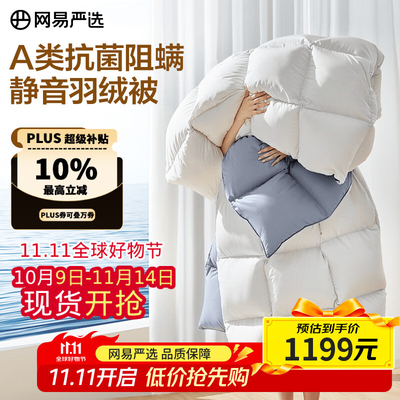 网易严选被子羽绒被鸭绒被 90%白鸭绒A类抗菌阻螨静音冬被 1000g 2*2.3m