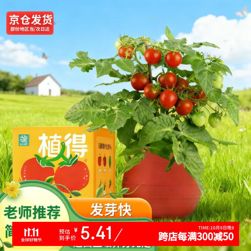 IAM City Farmer儿童种植小盆栽小小果蔬园绿植幼儿园陪伴盆栽植物观察番茄10013