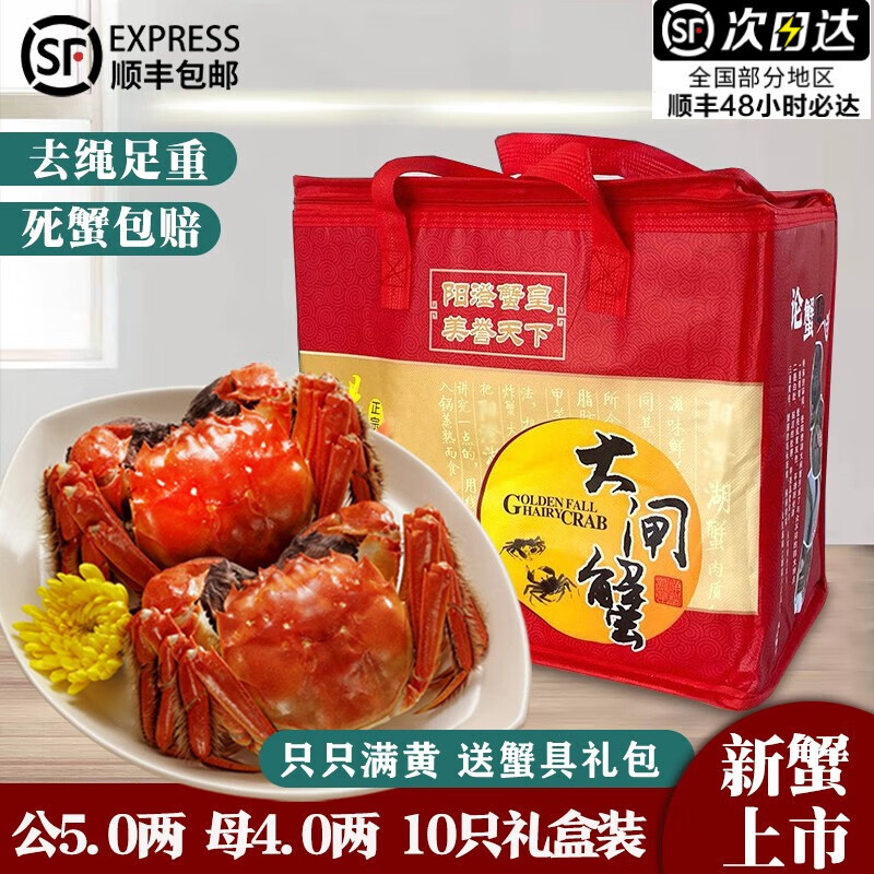【活蟹】阳澄帝 大闸蟹鲜活  现货特大螃蟹公蟹母蟹精品礼盒装 现货公5.0两母4.0两5对 10只装