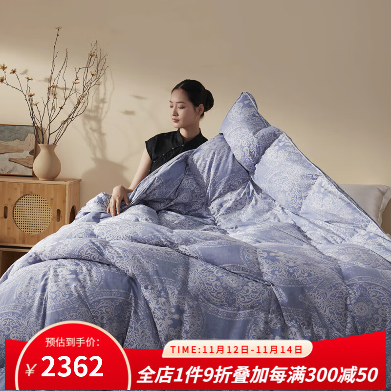 维克多（VCD）95白鹅绒被冬季保暖加厚羽绒被纯棉面料五星酒店被子被芯 匈牙利进口95%白鹅绒色织提花 200cm*230cm 冬被