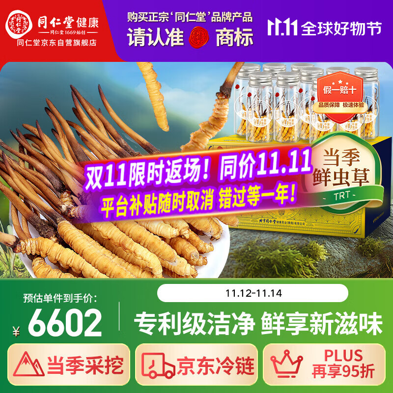 同仁堂（TRT）品牌 新鲜虫草0.61-0.8克/条100条装冬虫夏草青海源头直发包邮