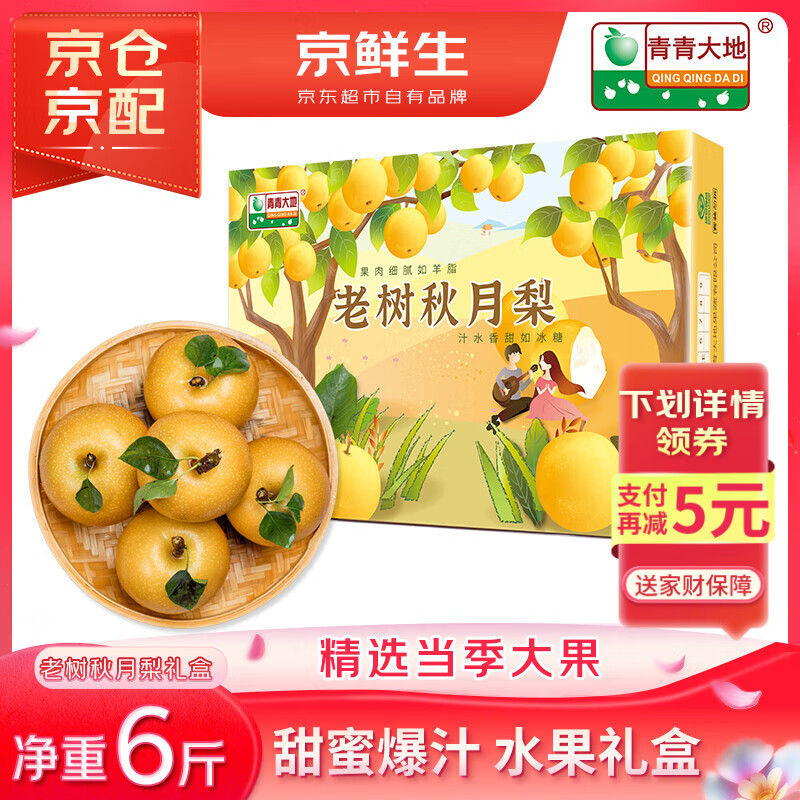 京鲜生青青大地莱阳老树秋月梨 6斤6粒 精品大果水果礼盒