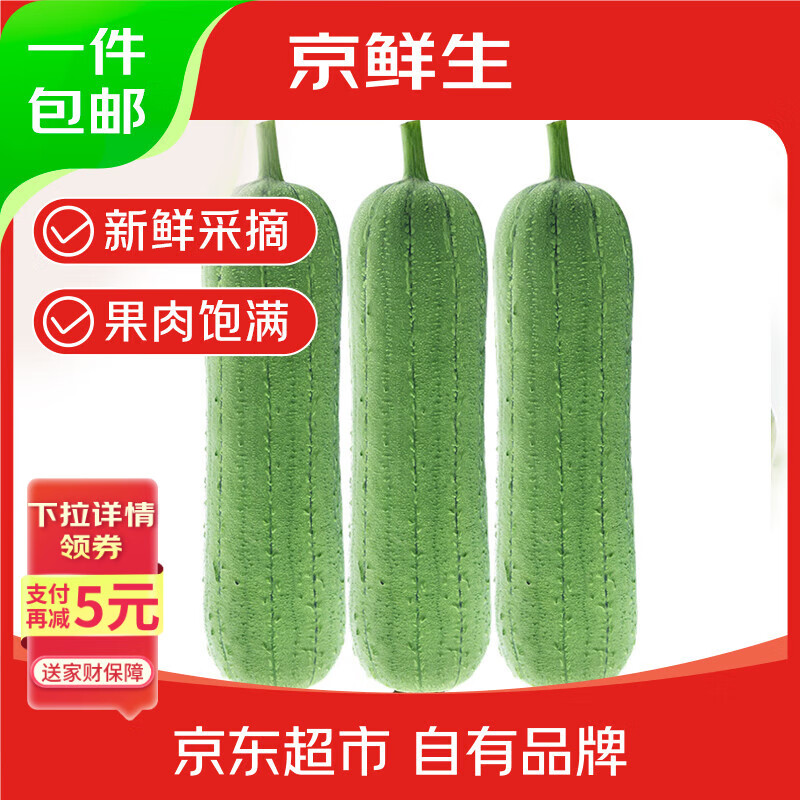 京鲜生 台湾短棒肉丝瓜 5斤装 单果220g起 新鲜蔬菜 源头直发包邮
