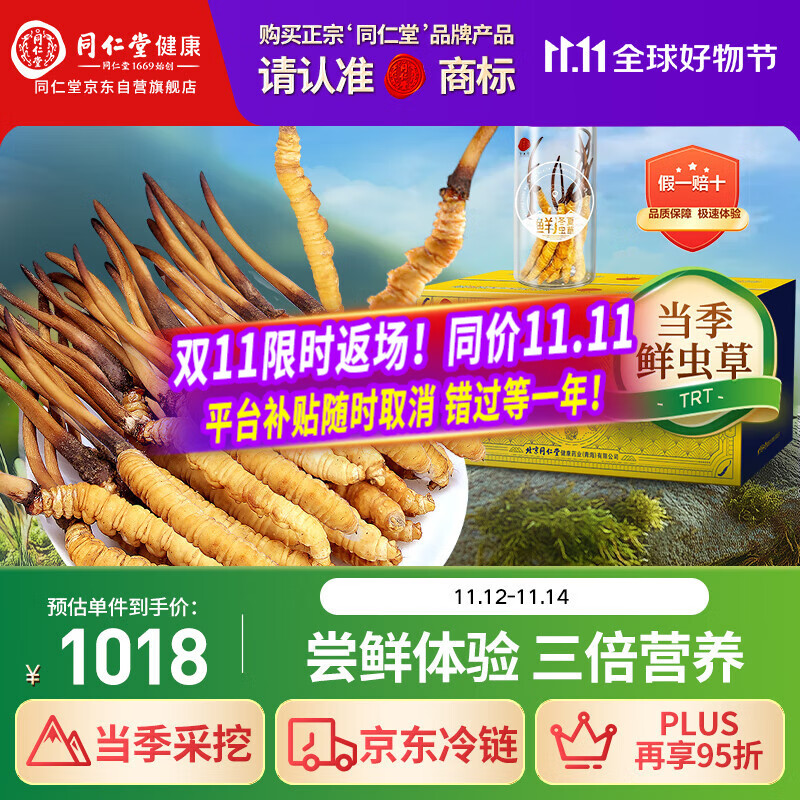 同仁堂（TRT）品牌 新鲜冬虫夏草鲜虫草约0.81-1.0克/根10根装源头直发青海