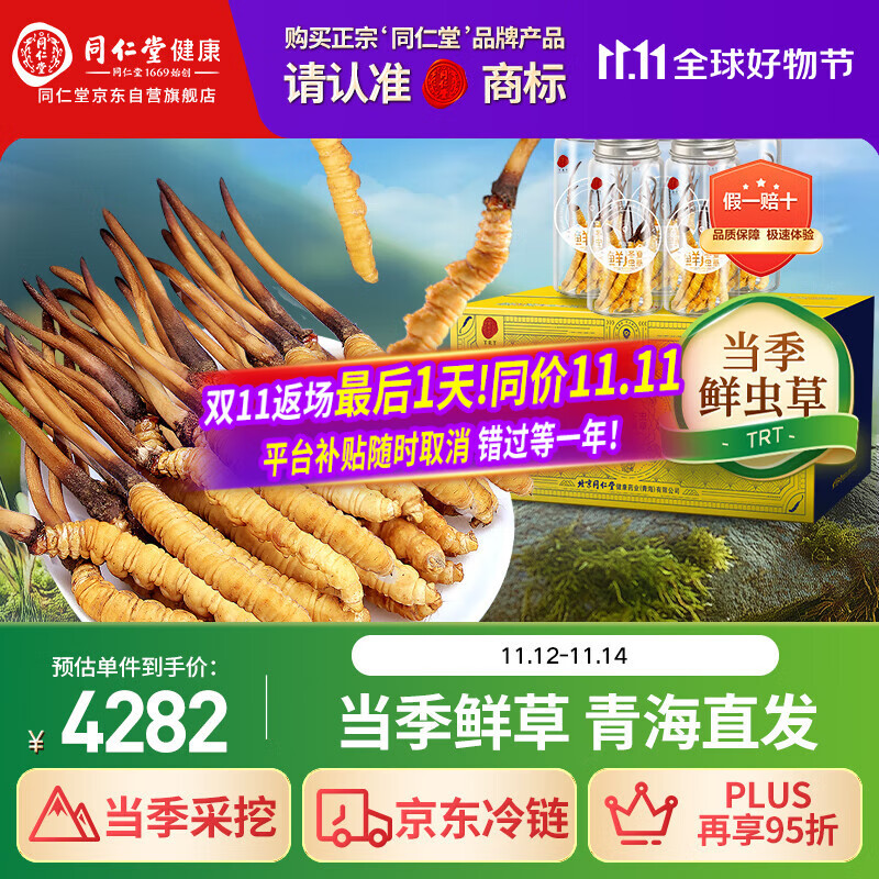 同仁堂（TRT）品牌 新鲜虫草0.81-1.0克/条50条装 鲜虫草青海源头直发包邮