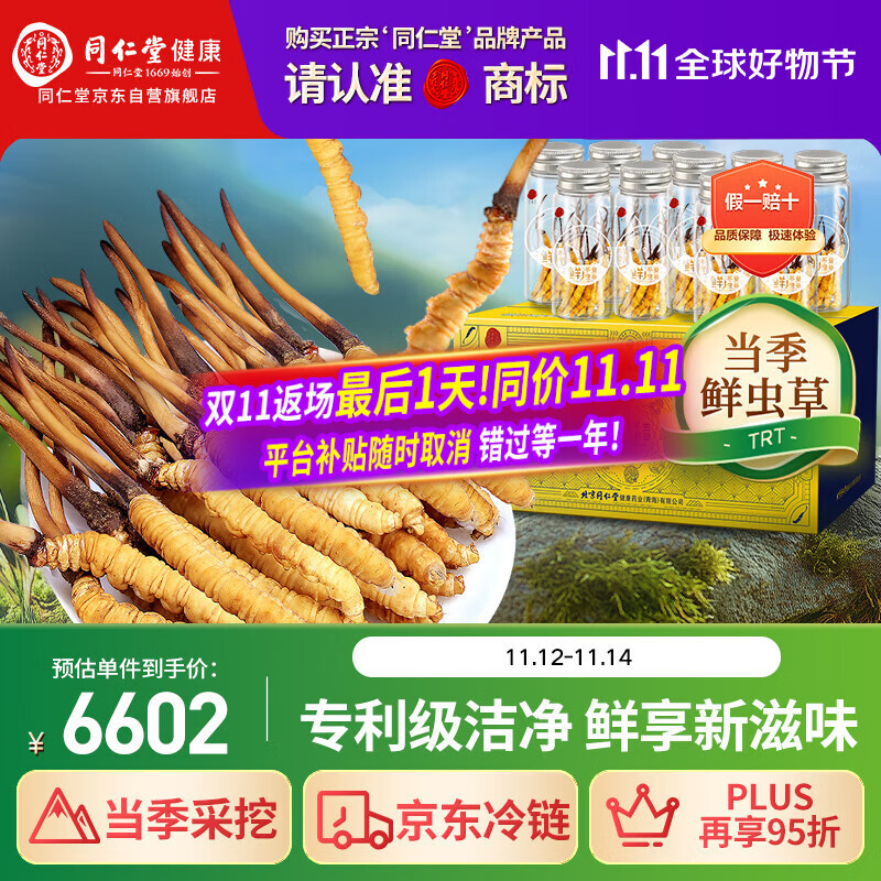 同仁堂（TRT）品牌 新鲜虫草0.61-0.8克/条100条装冬虫夏草青海源头直发包邮