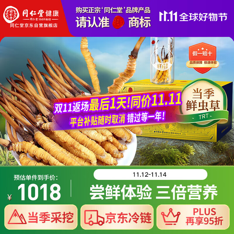 同仁堂（TRT）品牌 新鲜冬虫夏草鲜虫草约0.81-1.0克/根10根装源头直发青海
