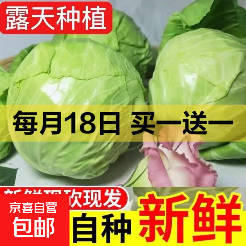 新鲜甘蓝包菜卷心菜新鲜嫩绿莲花白现摘现发到京东来买菜 新鲜包菜 1.5-2斤 人工挑拣