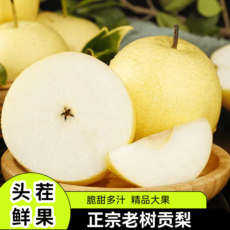 绿熊庄园山西贡梨果冰糖蜜梨农家果园新鲜采摘酥脆多汁应季现发孕妇水果 精品果王净重8.5斤【单果350g往上】