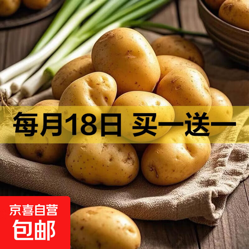 东坡嘴25年河南新鲜小土豆黄心粉糯面马铃薯洋芋蔬菜 新鲜土豆2斤小果