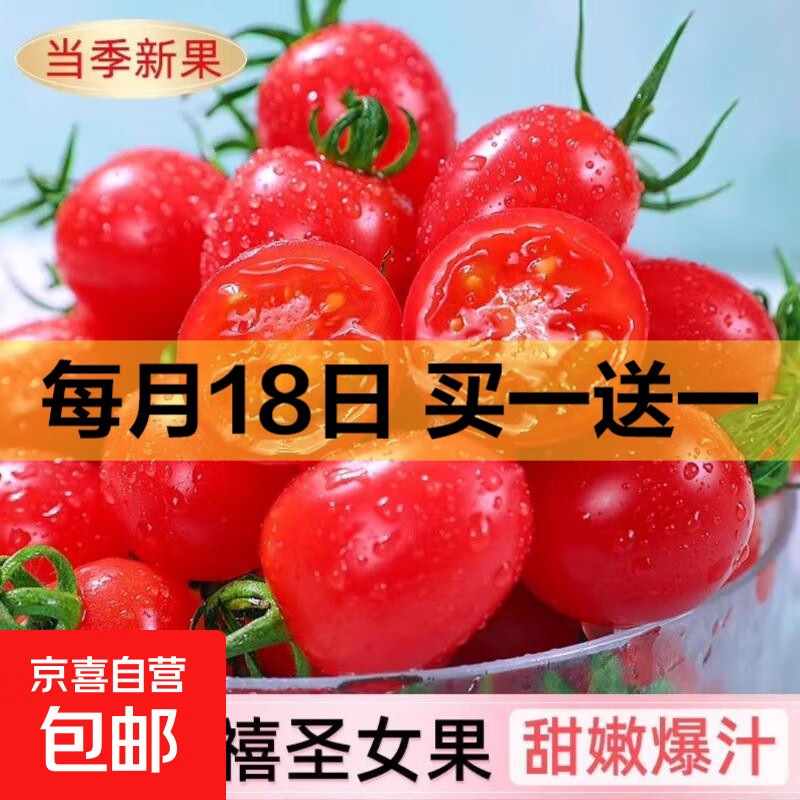 新鲜圣女果小西红柿小番茄新鲜蔬菜生鲜减肥减脂早餐沙拉现摘现发 畅销装 2斤 净重