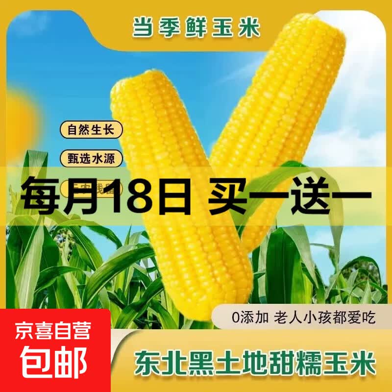 2025年东北黄甜糯玉米棒真空包装低脂黄糯大棒甜东北早餐黏苞米 黄糯玉米5支 150-200克