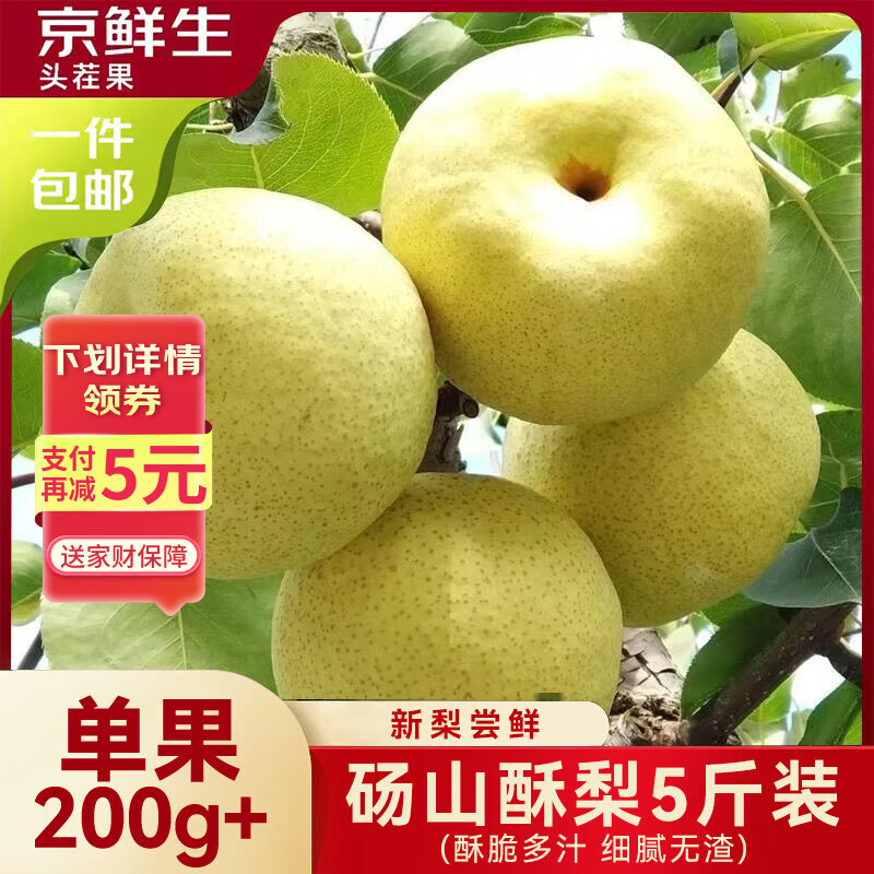 京鲜生安徽砀山酥梨净重5斤装单果200g+ 生鲜水果源头直发包邮