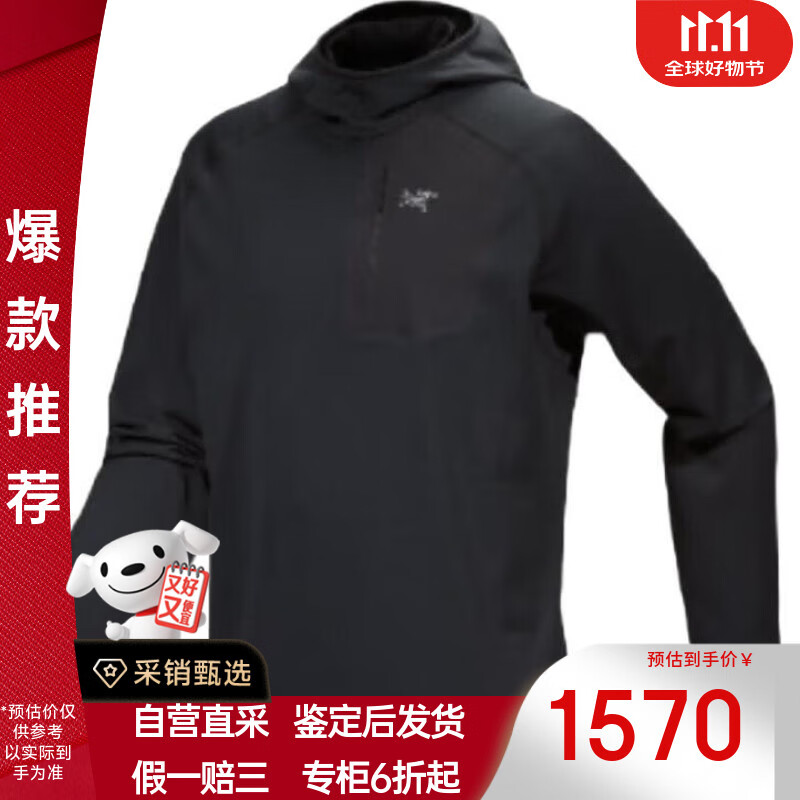 ʼARC'TERYXdelta pullover hoodyʿץ ɫ L