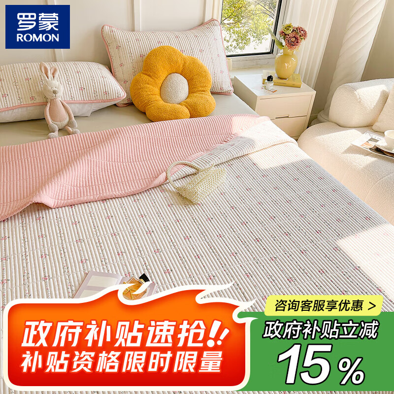 领 满1打9折券 罗蒙A类泡泡棉夹棉床盖沐歌 2.3*2.5m 拍 - 线报酷