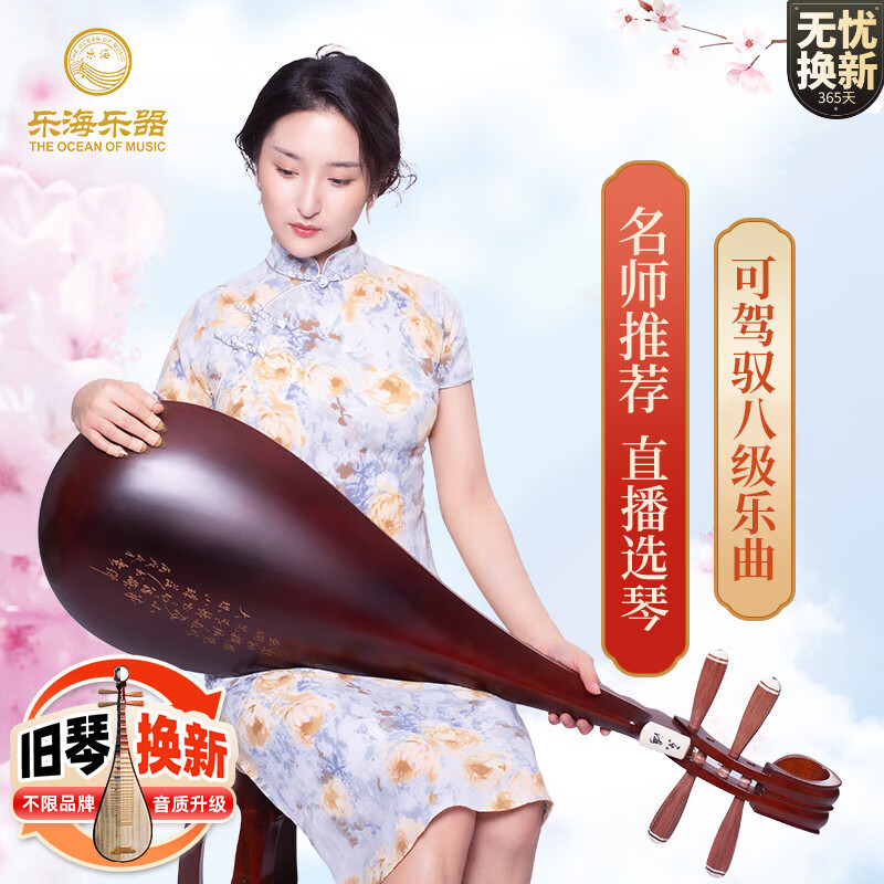 乐海 琵琶乐器专业考级演奏特氏古夷苏木原木色花开富贵头饰琵琶 913