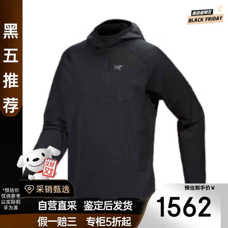 ʼARC'TERYXArcteryxحdelta pullover hoodyʿץ ɫ M