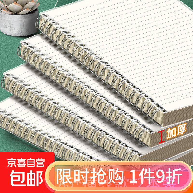 【老师推荐】热销十万线圈本b5笔记本子得力同款日记本简约大学生考研大号加厚本子记事本错题摘抄 A5横线-2本装（160张）