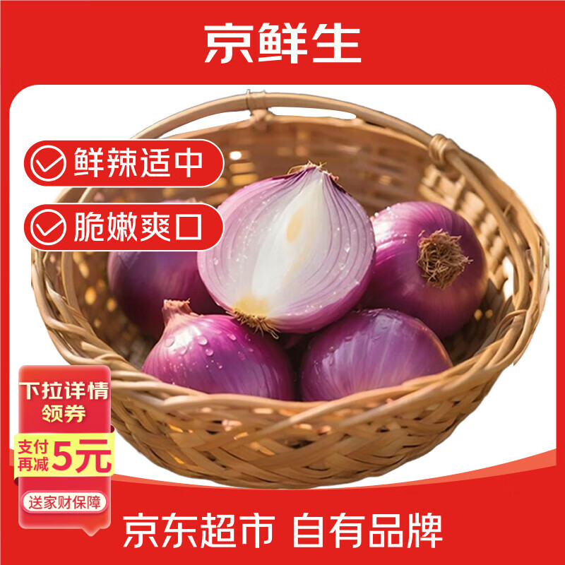 京鲜生 甘肃紫红皮洋葱净重5斤单果200g+ 现挖新鲜蔬菜 源头直发包邮
