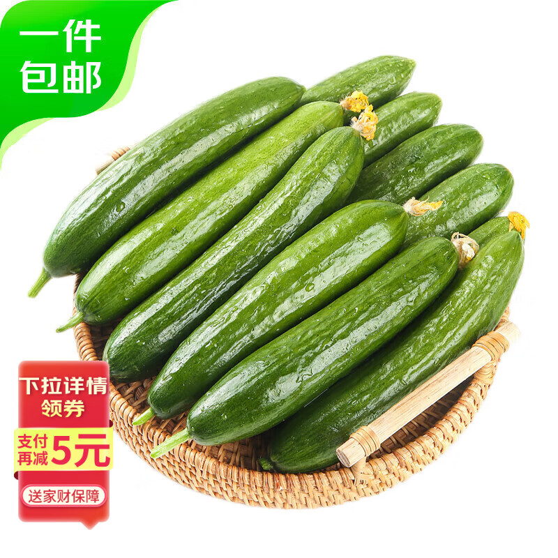 自营京鲜生 山东荷兰水果黄瓜净重5斤 到手17.9元，折3.58/斤 - 线报酷