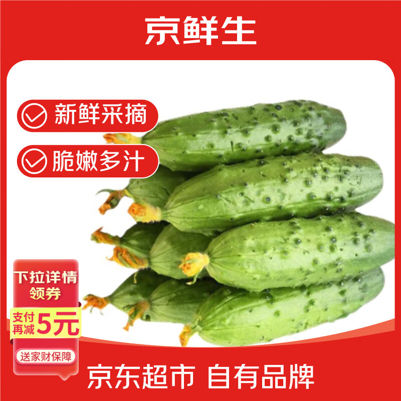 京鲜生 山东童年旱黄瓜 3斤 单果100g+ 水果小青瓜 时令轻食 源头直发