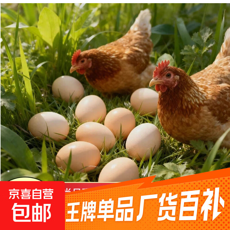 海佑农家土鸡蛋鲜鸡蛋早餐溏心蛋京东买菜包邮超市农家生鲜早餐 土鸡蛋10枚