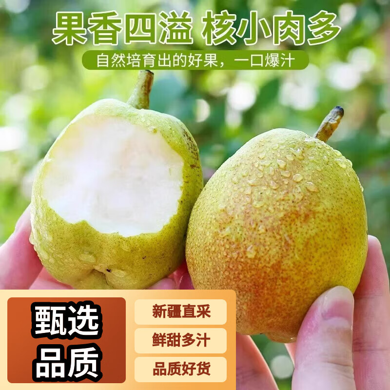 绿熊庄园新疆库尔勒香梨新鲜香梨子皮薄脆甜多汁应季孕妇水果当季源头直采 【小果热卖24枚】单果70-100g 京东折扣/优惠券