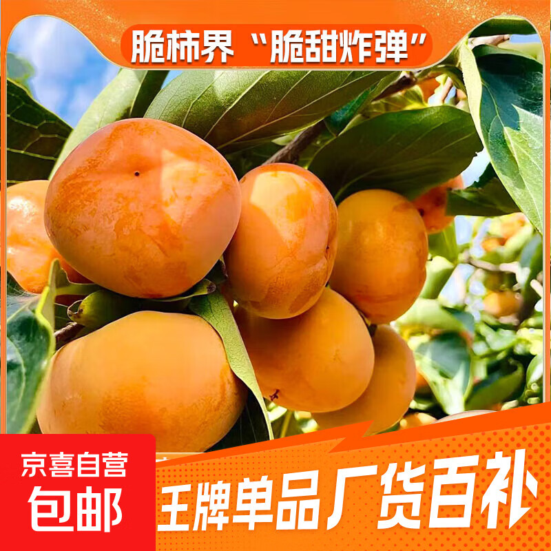 先领2.01-2券！可拍5单 3.9亓！脆柿子带箱1斤 - 线报酷