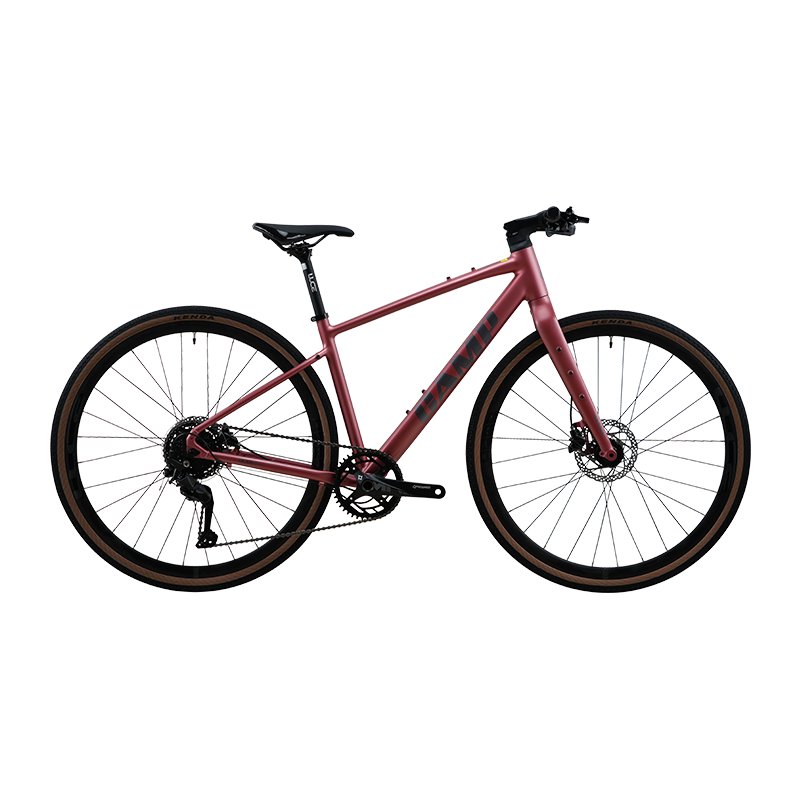 գCAMPGX300 ·ƽۺԽҰϽ𳵼9͵ŵг õ 405 700c 1998Ԫ