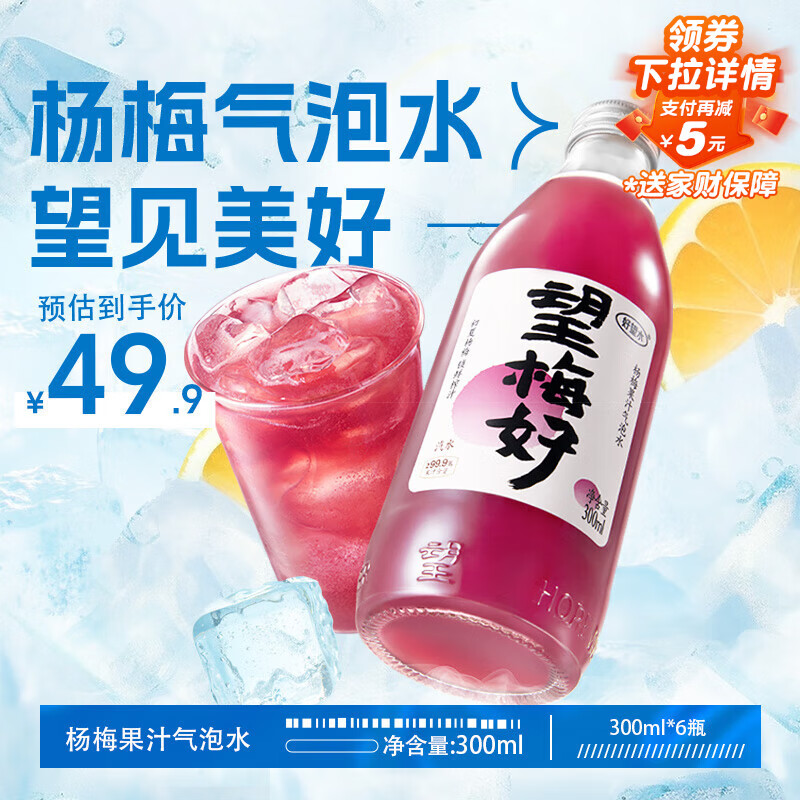好望水望梅好 杨梅汽泡水酸梅汤果汁饮料300ml*6瓶整箱