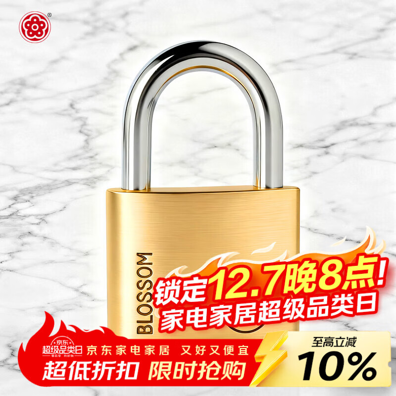 梅花（BLOSSOM）铜挂锁办公室宿舍铜锁仓库大铁门柜门锁防水防锈锁BC9040