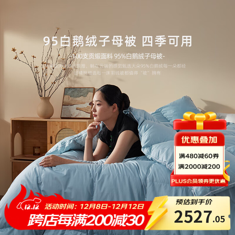 ά˶ޱ95׶ĸļﱻӶӺůоȫޱ ɫ 220cm*240cm ĸ 2327.05Ԫ