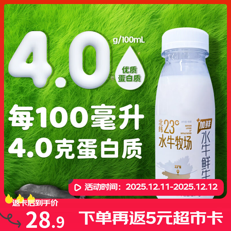 西江乳业单品包邮广西水牛奶低温鲜牛乳巴氏杀菌早餐奶源头直发208g*5瓶