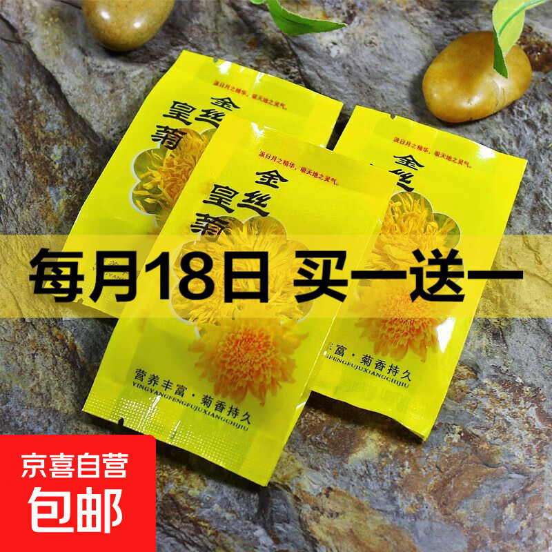 新花金丝皇菊一朵一杯大朵清火菊花茶贡菊白菊清热明目菊花枸杞茶 金丝黄菊-独立包装泡开约8cm【50朵】