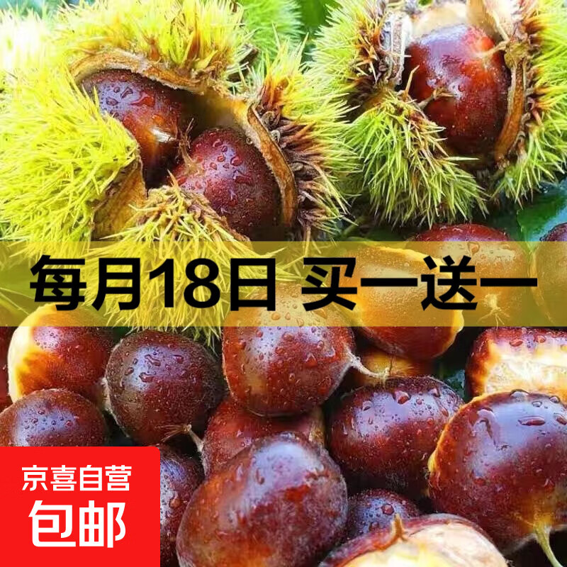 正宗丹东板栗【现摘现发】新下树特产生栗子新鲜去毛球粉糯甜 丹东板栗 5斤