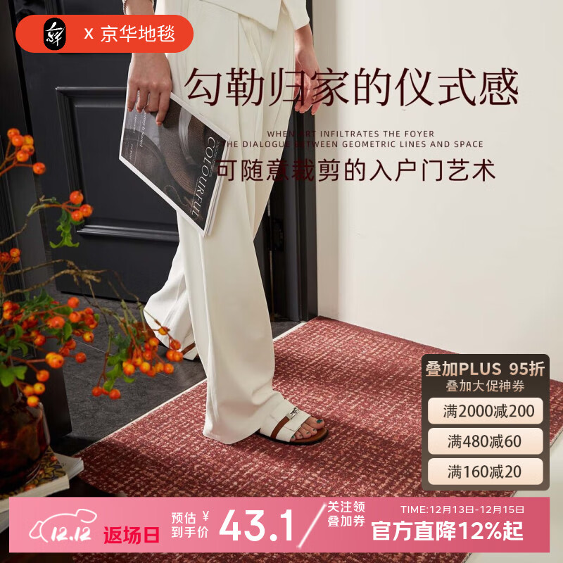 京华入户门地垫2025新款高级室外门口耐脏防滑丝圈脚垫玄关地毯进门垫 冰晶纹80%客户的选择 50cm*80cm 蹭土除尘