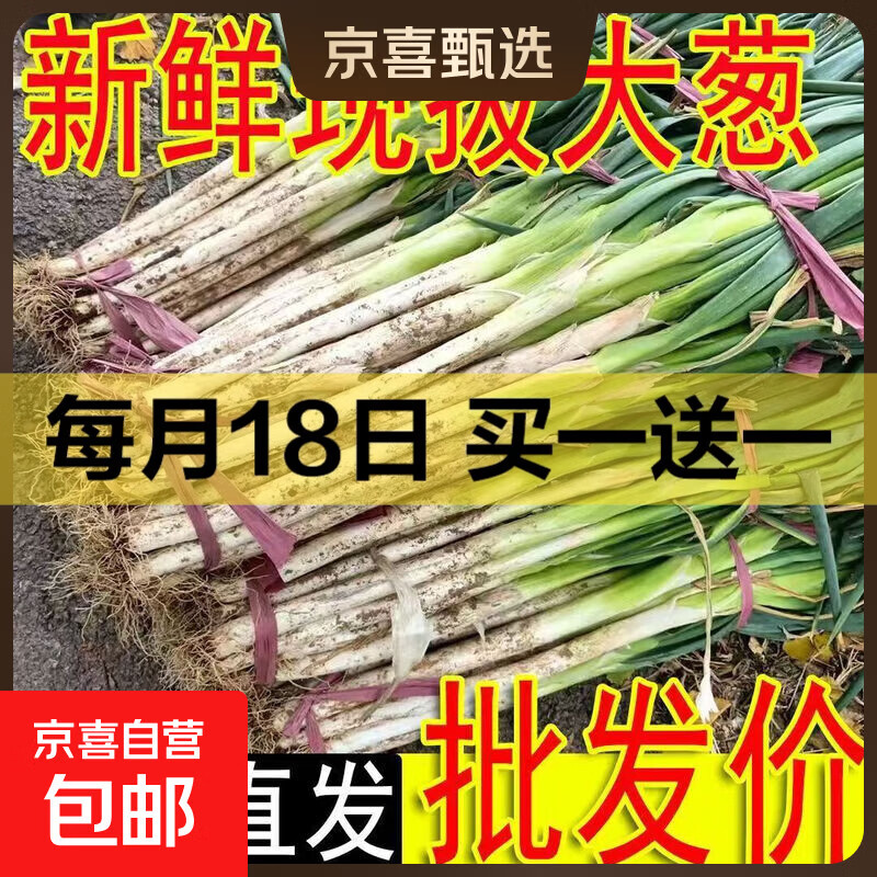  山东大葱（带老皮）带箱 1斤