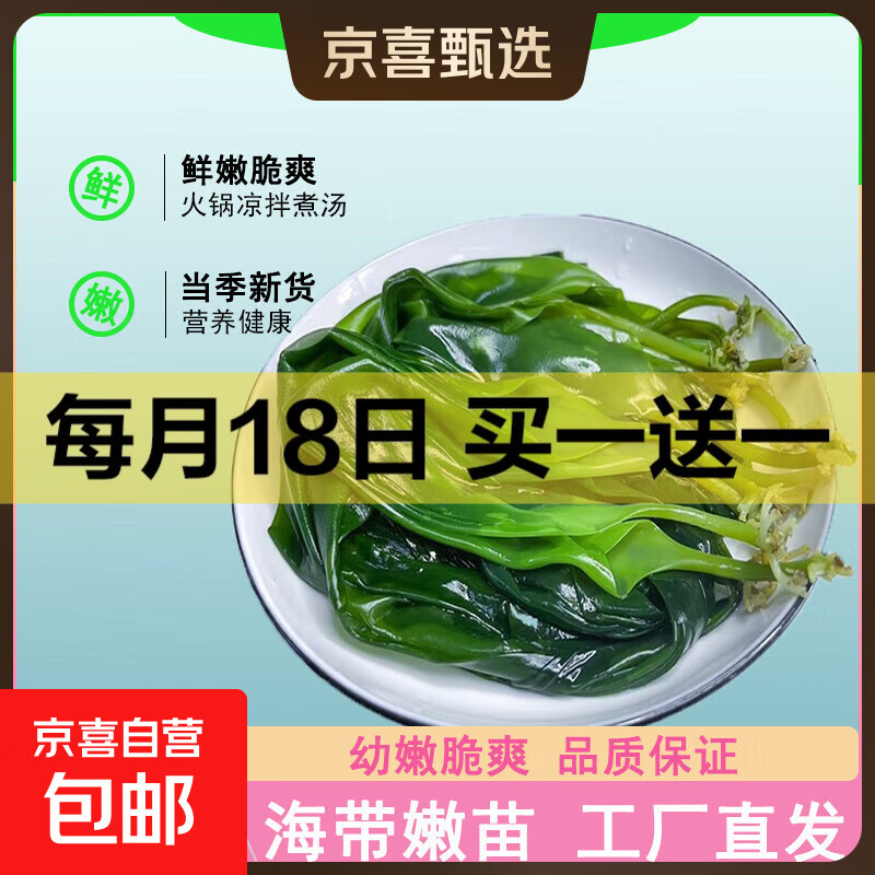 海带嫩苗霞浦海带苗火锅3秒菜凉拌菜海带苗海带嫩苗霞浦特产海产 [头水海带嫩苗]500g*1