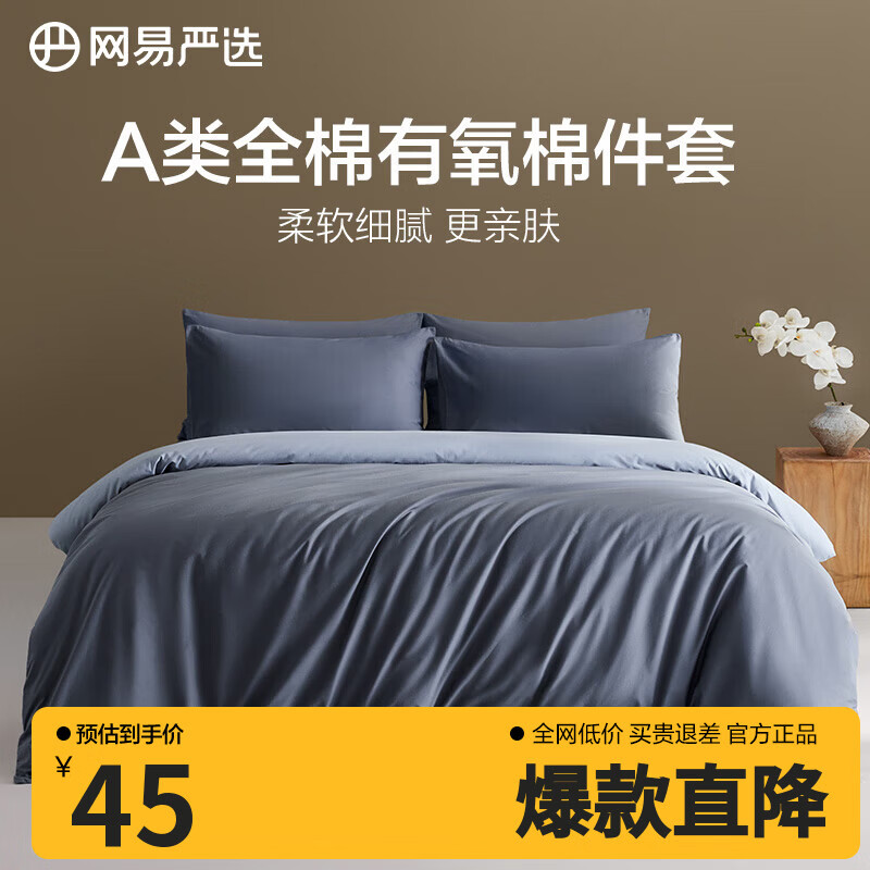 网易严选A类柔有氧全棉四件套卧室宿舍学生新疆棉新工艺柔软亲肤 【升级加厚】烟灰蓝 床单款 【枕套】1对：48*74cm