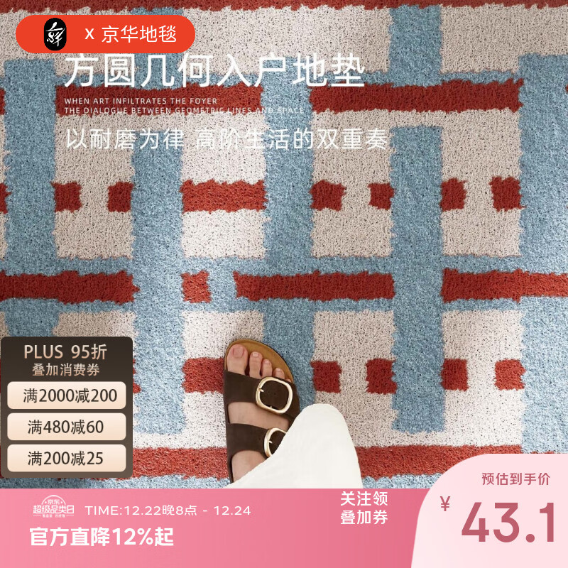 京华入户门地垫轻奢高级感丝圈进门门口玄关脚垫免洗可擦耐磨耐脏门垫 叠影格80用户的选择 50cm*80cm 蹭土除尘