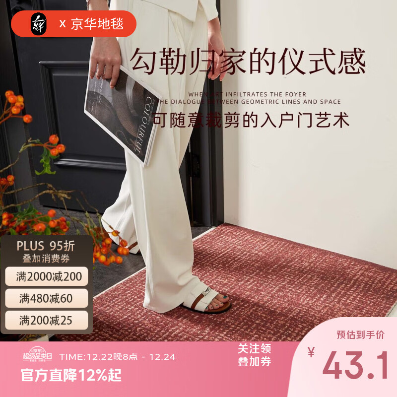 京华入户门地垫2025新款高级室外门口耐脏防滑丝圈脚垫玄关地毯进门垫 冰晶纹80%客户的选择 50cm*80cm 蹭土除尘