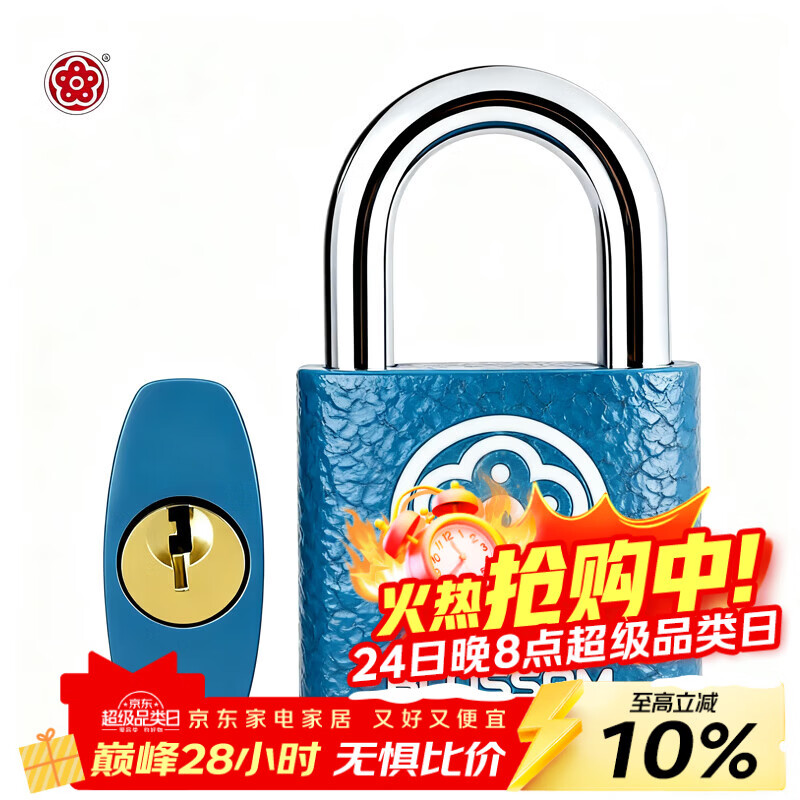 梅花（BLOSSOM）挂锁抽屉锁工具箱学生宿舍柜子锁电表箱锁小锁BC2925蓝25MM