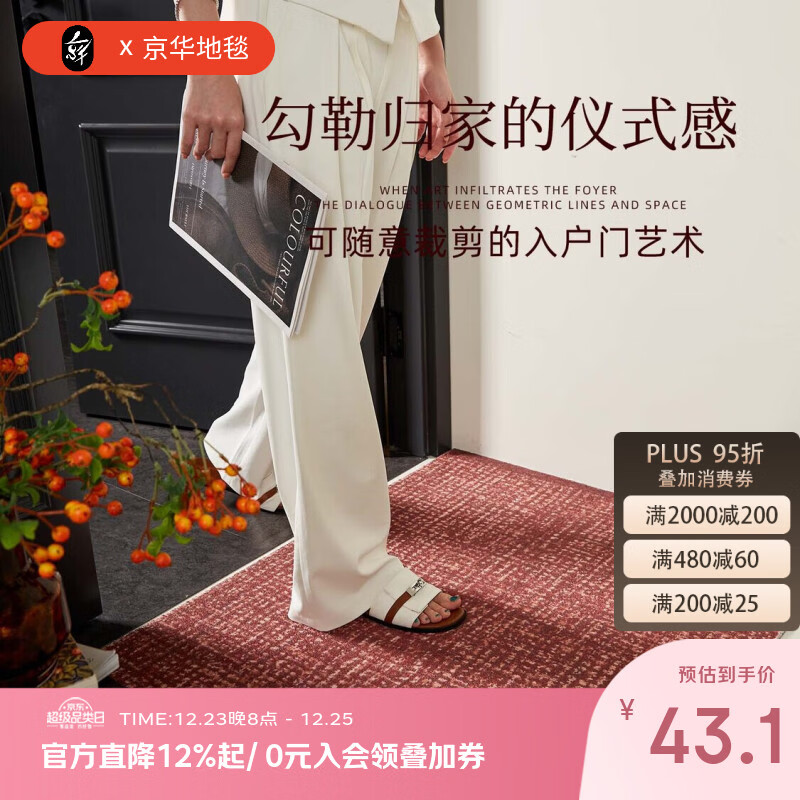 京华入户门地垫2025新款高级室外门口耐脏防滑丝圈脚垫玄关地毯进门垫 冰晶纹80%客户的选择 50cm*80cm 蹭土除尘