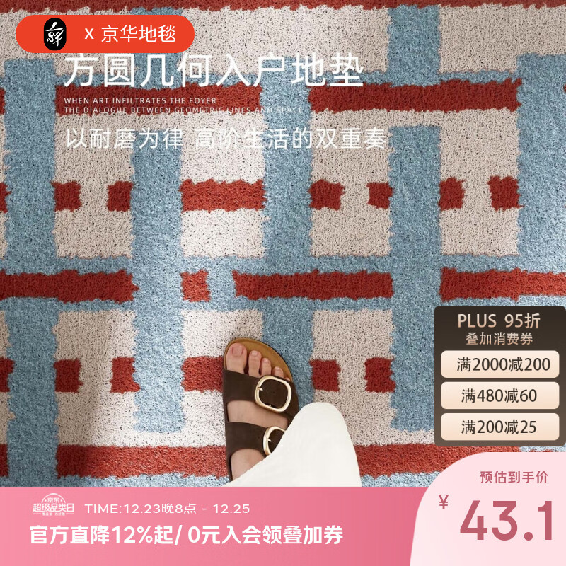 京华入户门地垫轻奢高级感丝圈进门门口玄关脚垫免洗可擦耐磨耐脏门垫 叠影格80用户的选择 50cm*80cm 蹭土除尘