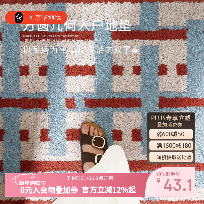 京华入户门地垫轻奢高级感丝圈进门门口玄关脚垫免洗可擦耐磨耐脏门垫 叠影格80用户的选择 50cm*80cm 蹭土除尘