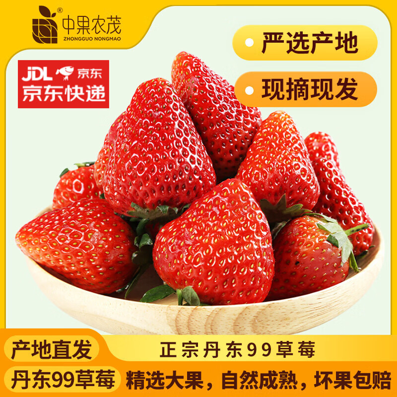 中果农茂丹东草莓【JD/顺丰-多地次日达】新鲜现摘草莓99红颜奶油大草莓 2斤装-【单果10-15g】净重1.8斤-京东快递 京东折扣/优惠券