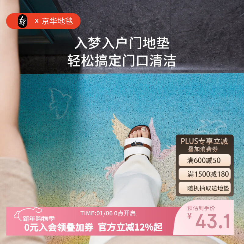 京华入户门地垫马年童趣可裁剪可定制丝圈防滑免洗家用室内进门口脚垫 发条旅途-80用户选择 50cm*80cm 蹭土除尘