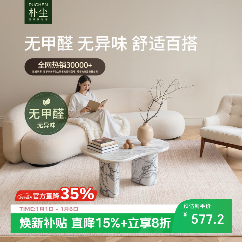 朴尘大宅风范无甲醛耐脏客厅地毯客厅高级感轻奢中古风2026新款 大宅风范 240cm*350cm 京东折扣/优惠券