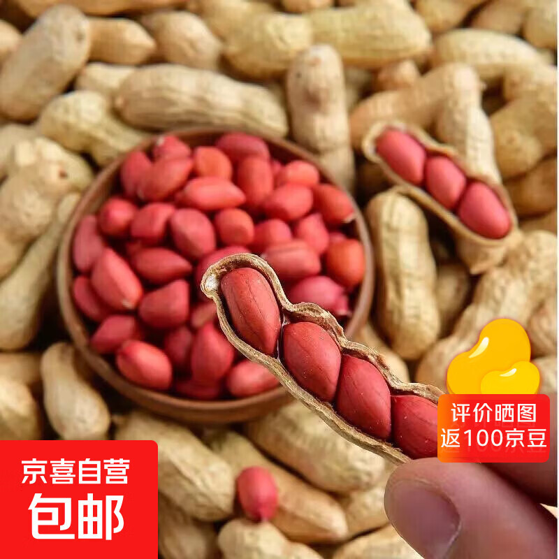 红皮花生 四粒红花生仁带壳花农家新货带壳红花生米五谷杂粮 红皮花生5斤 带壳