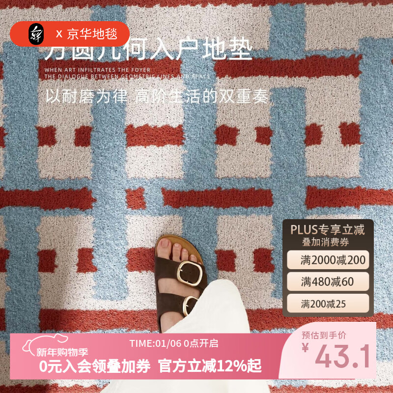 京华入户门地垫轻奢高级感丝圈进门门口玄关脚垫免洗可擦耐磨耐脏门垫 叠影格80用户的选择 50cm*80cm 蹭土除尘